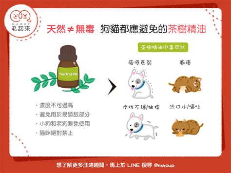 茶樹精油 寵物|【天然≠無毒】茶樹精油應避免使用在狗狗貓貓身上！。